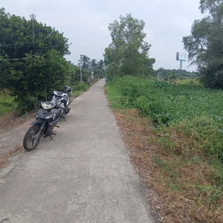 Đất nền Tân Lập 1, Tân Phước 3800m² giá chỉ 800 triệu - Sổ hồng chính chủ!