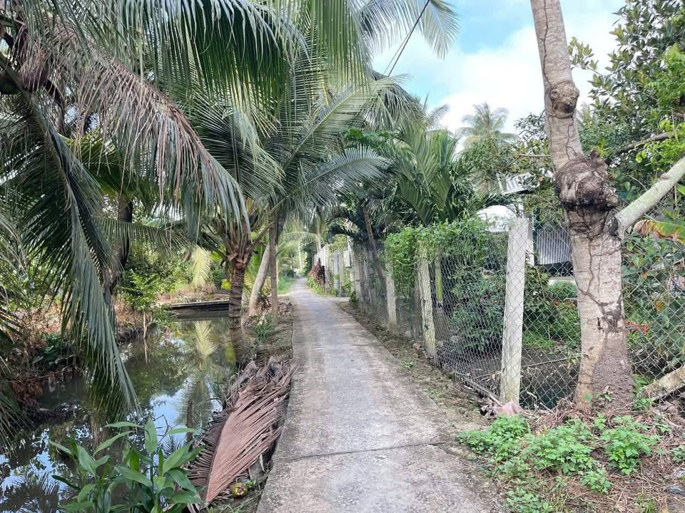 Đất Vườn 1723m² Hướng Bắc tại Ấp Trung, Đồng Tháp - Giá Chỉ 1.69 Tỷ!