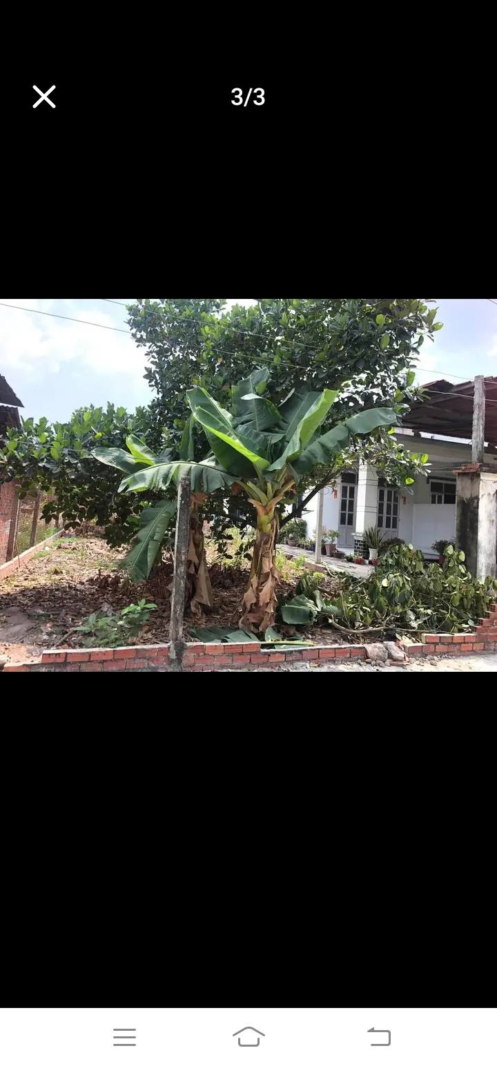 Lô đất Hẻm 3 Nguyễn Lương Bằng, TX. Hòa Thành, 371m² - Giá chỉ 1.322 tỷ, thương lượng nhẹ!