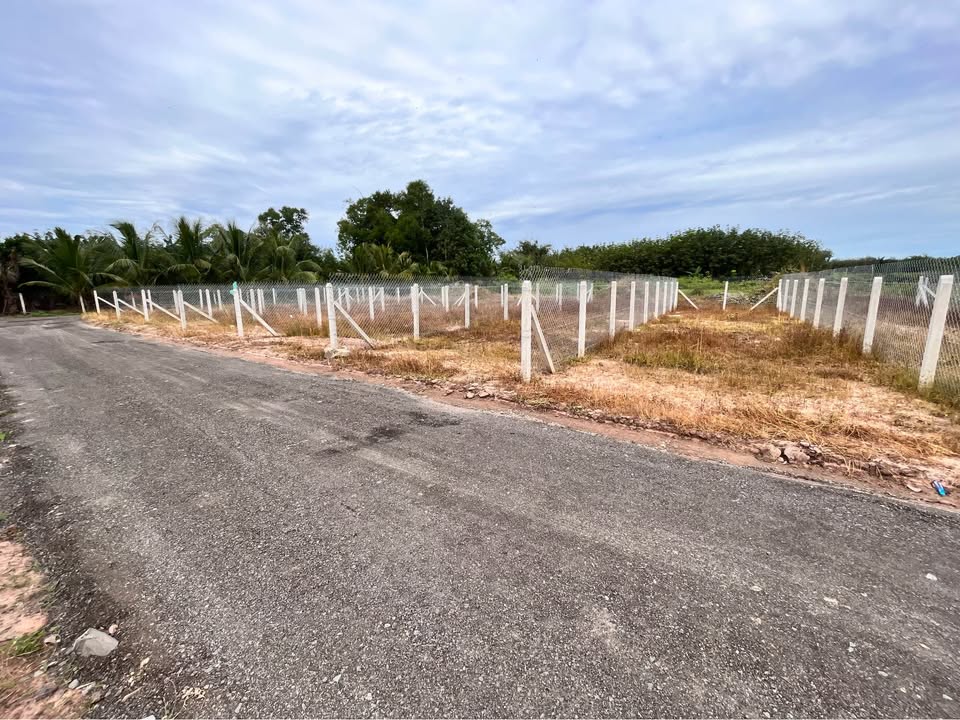 Đất nền liền kề 115m² tại ấp Cây Da, Gò Dầu - Giá chỉ 860 triệu