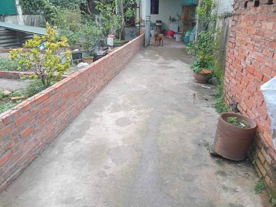 Đất nền Bích Hòa, Thanh Oai 42m² giá 3 tỷ - Sổ đỏ chính chủ, giao dịch ngay!