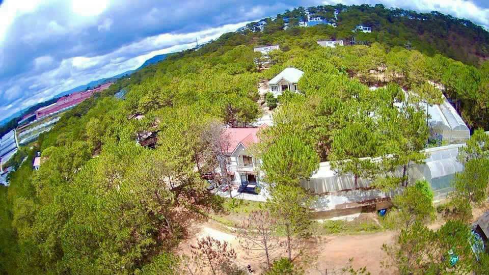 Biệt thự Châu Âu Đà Lạt 900m² giá 19 tỷ - Nơi nghỉ dưỡng lý tưởng!