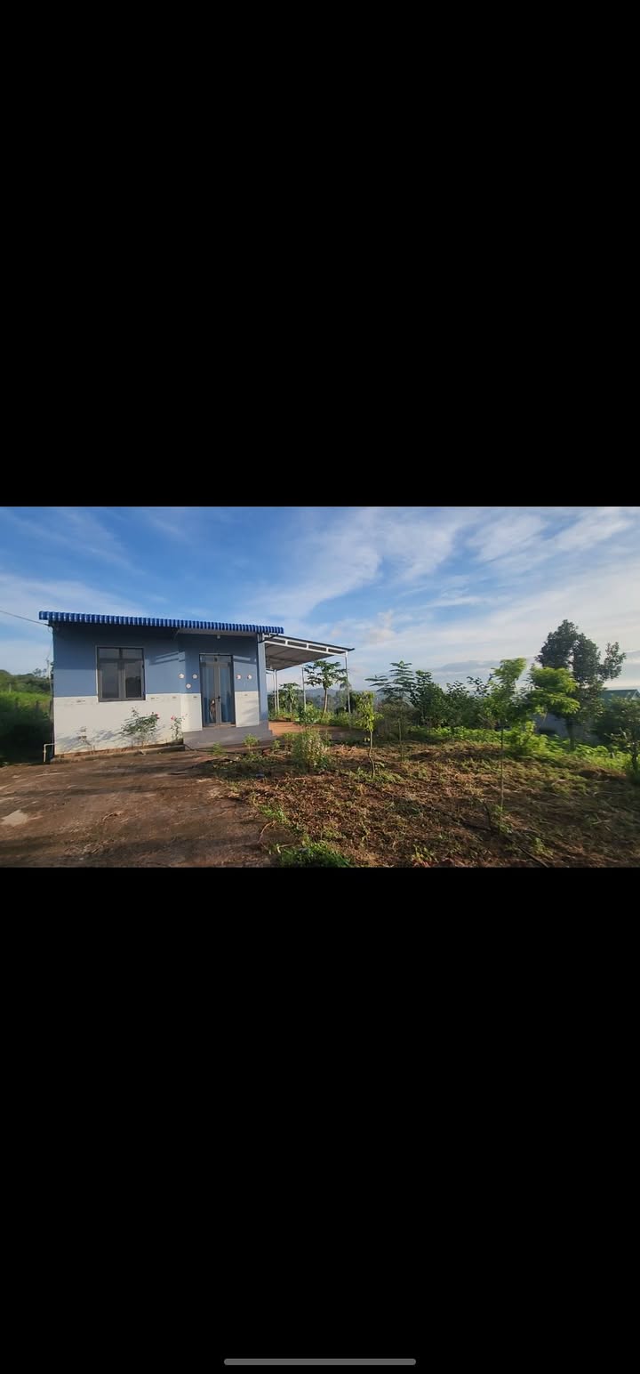 Nhà bán Đan Phượng, Lâm Hà 1000m² giá 1.25 tỷ - Đầu tư sinh lời!