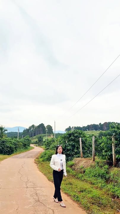 Đất nền Mê Linh 300m² giá 599 triệu - Sổ hồng riêng, xây dựng tự do!