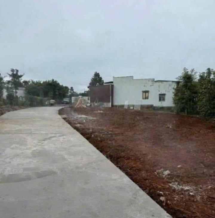 Đất nền Tân Hội, Đức Trọng 185m² giá 450 triệu - Sẵn sổ hồng chính chủ!