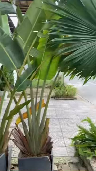 Nhà cho thuê 1 tầng 1 tum Đà Nẵng - 10 triệu/tháng - Nội thất đầy đủ