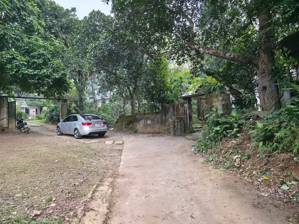 Đất nền phường Dân Chủ, Hòa Bình 200m² - Gần quốc lộ 6, giá thỏa thuận!