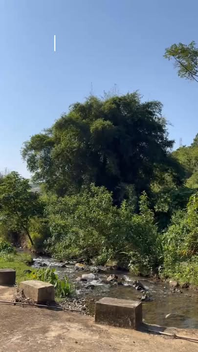 Đất Farm 1,6ha bám suối tự nhiên tại Lương Sơn, Hòa Bình - Chỉ 2 tỷ, cơ hội đầu tư hiếm có!