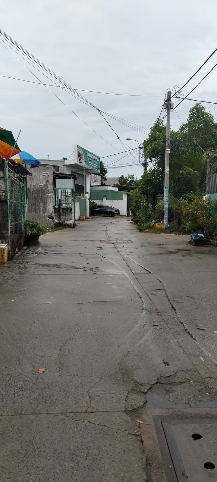 Đất nền Tân Hiệp Hóc Môn 3435m² giá 7.2 tỷ - Sổ đỏ chính chủ, hướng Đông