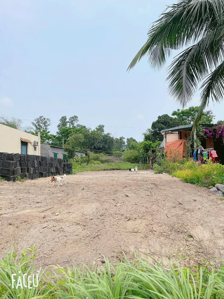 Đất nền Bắc Lý, Đồng Hới 175m² giá 1 tỷ - Đầu tư sinh lợi ngay!