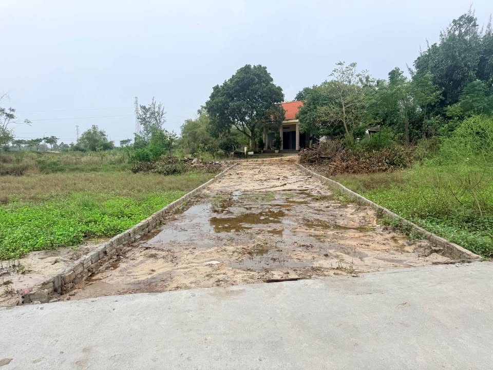 Đất nền Ngũ Hành Sơn Đà Nẵng 132m² giá 1.7 tỷ - Vị trí đắc địa, giao thông thuận lợi!