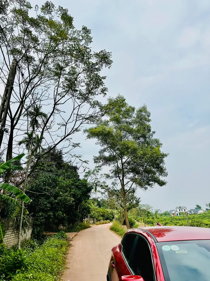 Đất thổ cư Tân Trung, Tân Yên 200m² - Chính chủ cần bán gấp!