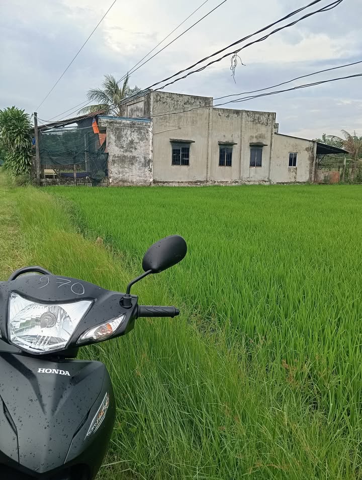 Đất lúa 450m² xã Đức Lập giá 900 triệu - Cơ hội đầu tư hấp dẫn!