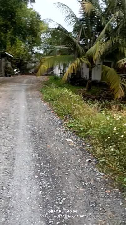 Đất thổ cư xã Đức Lập Hạ 300m² giá 1.65 tỷ - Sổ đỏ chính chủ, không thương lượng!