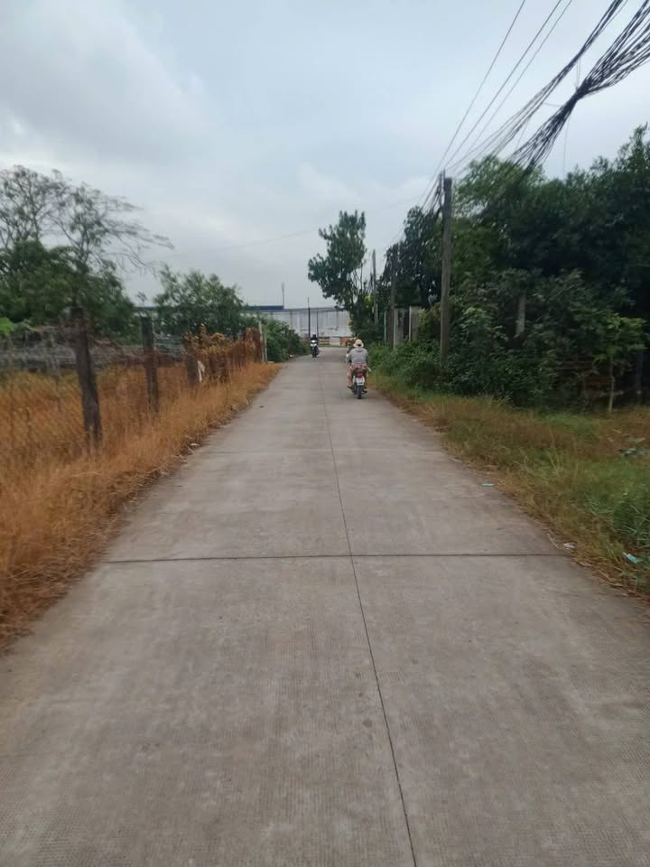 Đất nền Mỹ Hạnh 160m² giá 1.45 tỷ - Sổ đỏ chính chủ, mặt tiền bê tông!