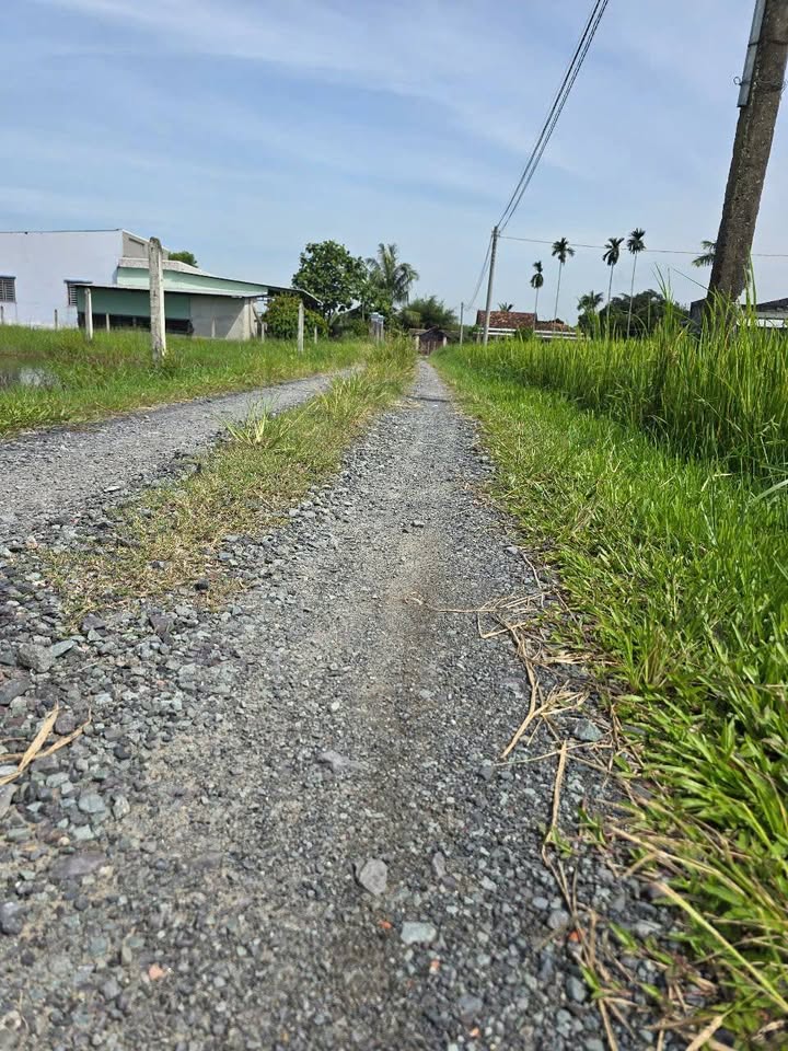 Đất thổ cư 200m² tại ấp Nhơn Hoà, xã Mỹ Hạnh giá 890 triệu - Sổ đỏ chính chủ!