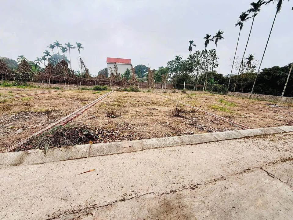 Đất nền Thanh Xuân, Thanh Hà 100m² giá 500 triệu - Đầu tư sinh lời ngay!