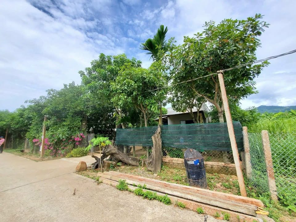 Đất vườn Khánh Hiệp Khánh Vĩnh 1206m² giá chỉ 149 triệu - Sở hữu ngay hôm nay!