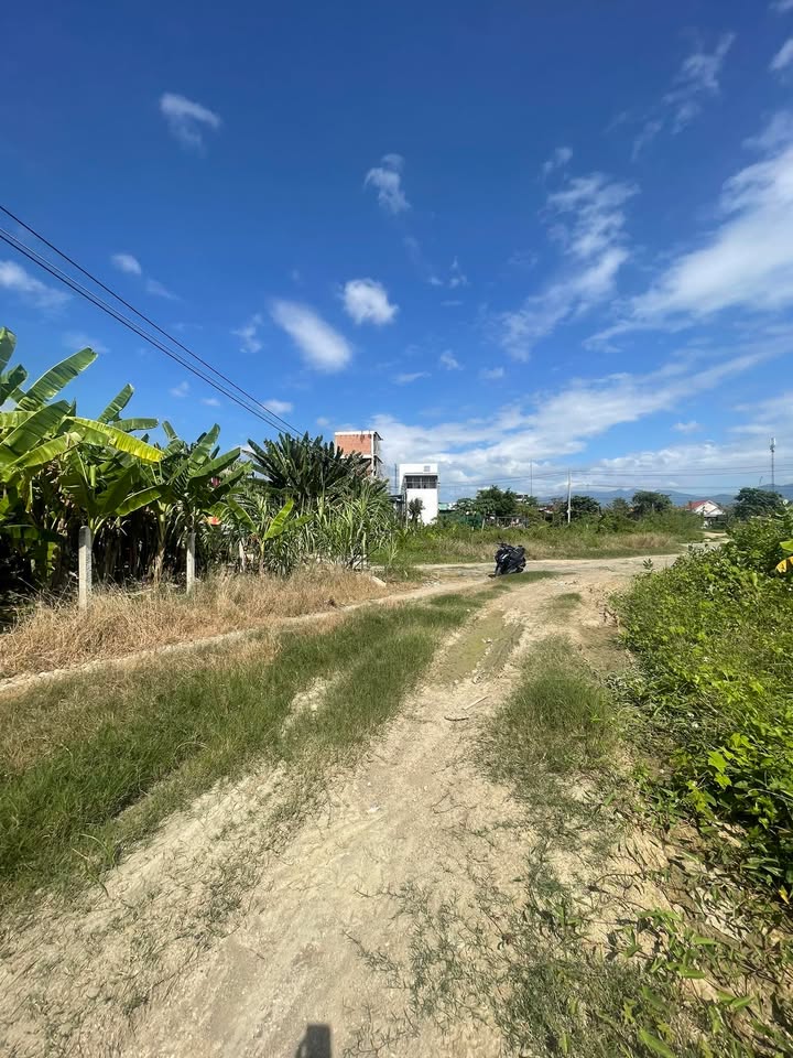 Đất Diên Khánh 294m² giá 3.234 tỷ - Cơ hội đầu tư tuyệt vời!