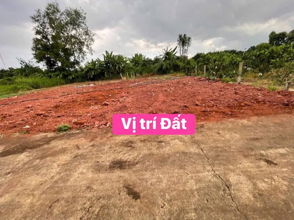 Đất nền Xuân Đông, Cẩm Mỹ 155m² giá 500 triệu - Cơ hội đầu tư tuyệt vời!