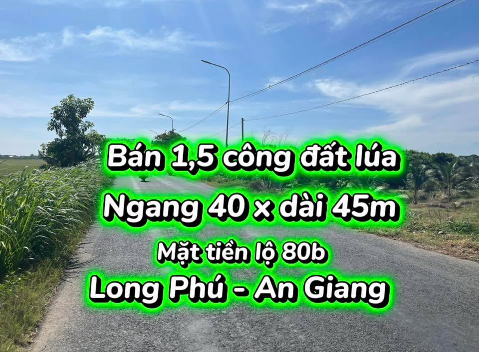 Đất lúa mặt tiền Quốc lộ 80b, Long Phú, 1800m² - Cơ hội đầu tư tuyệt vời!