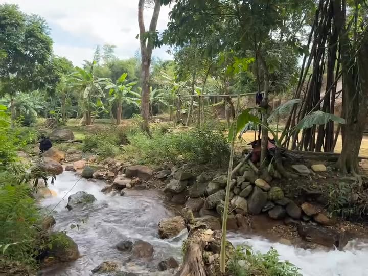 Lô đất nghỉ dưỡng 6000m² Tú Lý, Đà Bắc chỉ 3.8 tỷ - View ruộng bậc thang tuyệt đẹp!