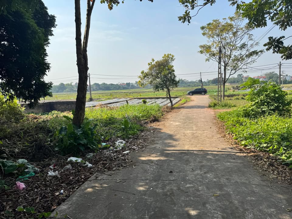 Đất nền Ngọc Châu, Tân Yên 200m² giá chỉ 200 triệu - Cơ hội đầu tư sinh lời!