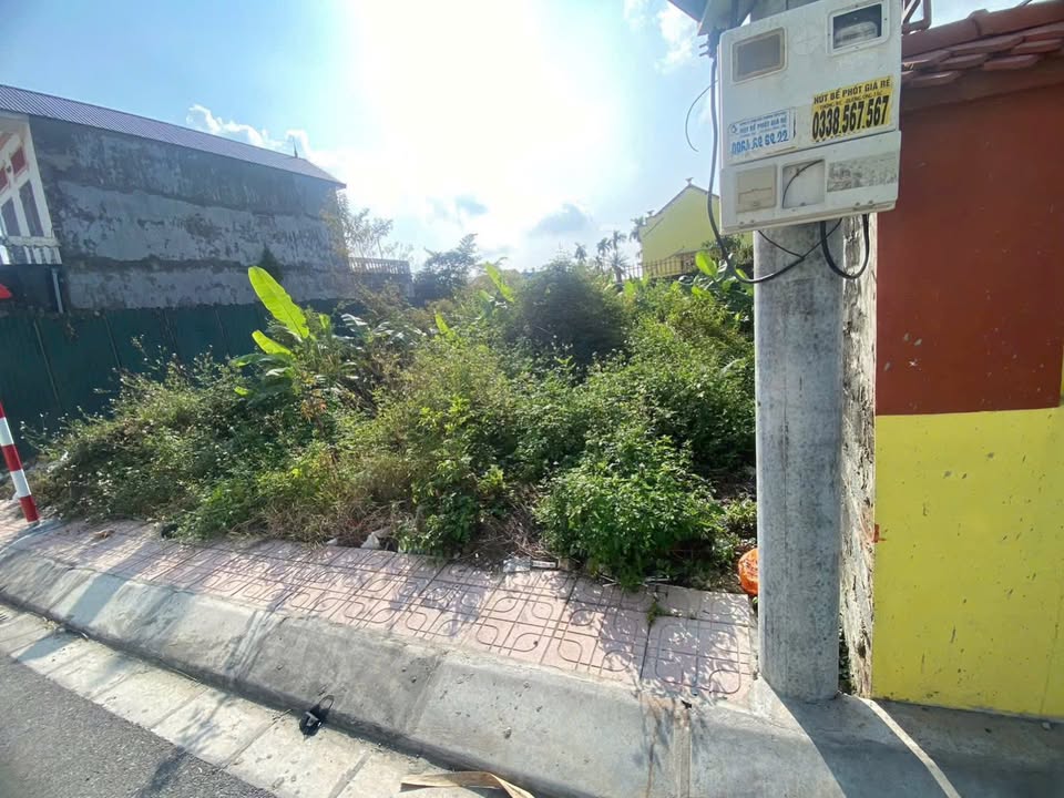 Đất nền Quỳnh Hoàng, Nam Sơn, An Dương 100m² giá 3 tỷ - Đầu tư sinh lời ngay!