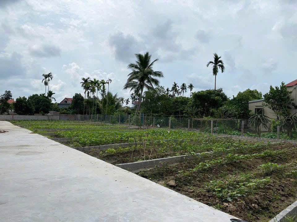 Đất nền An Trường, An Dương, Hải Phòng 60,3m² giá chỉ 500 triệu - Đầu tư sinh lời ngay!