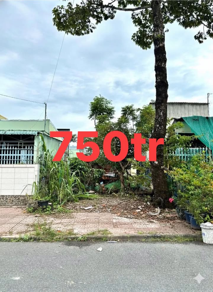 Đất thổ cư khu dân cư Bình San 97.5m² giá 750 triệu - Cơ hội đầu tư hiếm có!