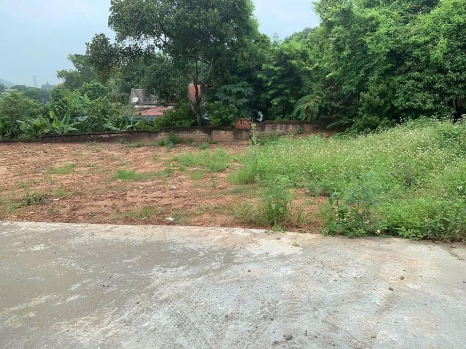 Đất nền Khu 4B Vân Phú Việt Trì 85,1m² - Cơ hội đầu tư hấp dẫn!