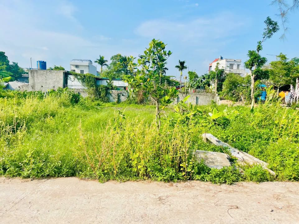 Đất nền Phương Công Tiền Hải 118.7m² giá chỉ 900 triệu - Cơ hội đầu tư tuyệt vời!