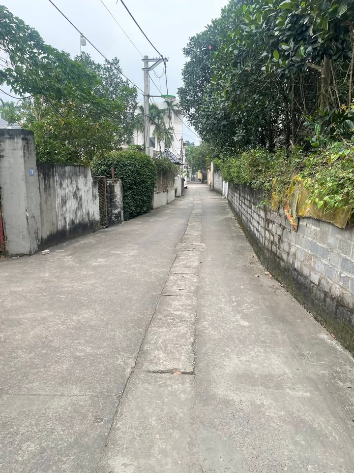 Đất nền Đông Mỹ - Thanh Trì 48m² giá 4.8 tỷ - Mặt tiền 4m, ô tô vào tận nơi!