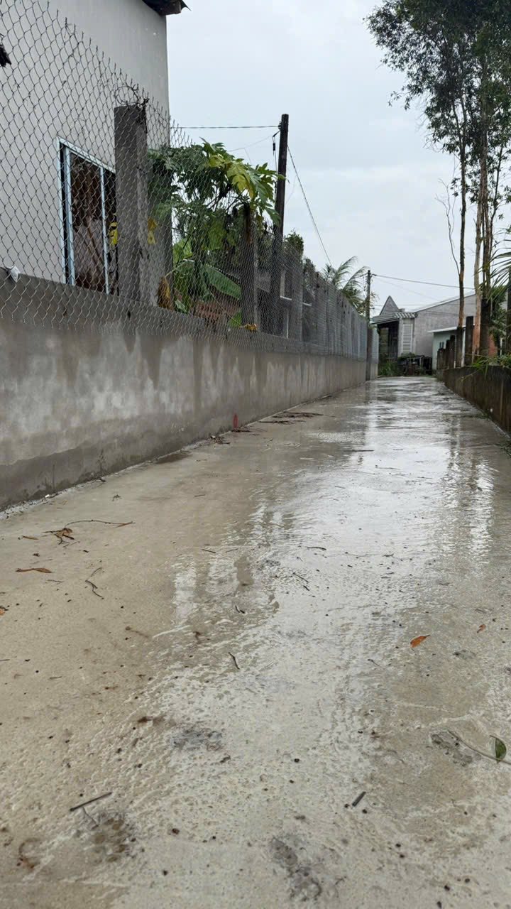 Đất nền 393m² tại Phường Thanh Đức, Vĩnh Long giá 1.09 tỷ - Cơ hội đầu tư hấp dẫn!