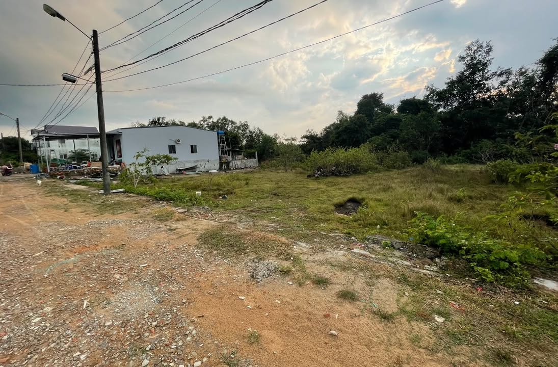 Đất nền Cây Thông Trong Phú Quốc 157m² giá 650 triệu - Cắt lỗ sâu, phong thủy tốt!