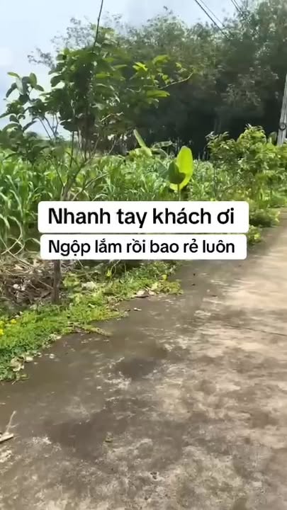 Đất nền Tân Hiệp, Phú Giáo 140m² giá tốt - Cơ hội đầu tư sinh lời!