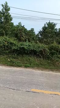 Đất nền Yên Sơn, Thanh Sơn, Phú Thọ 620m² - Bán gấp giá thỏa thuận!