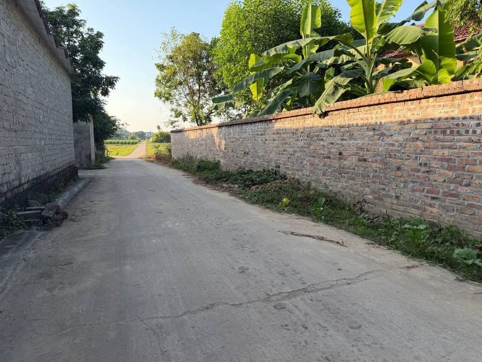 Đất nền Tân Yên 100m² giá chỉ 400 triệu - Cơ hội đầu tư hấp dẫn!