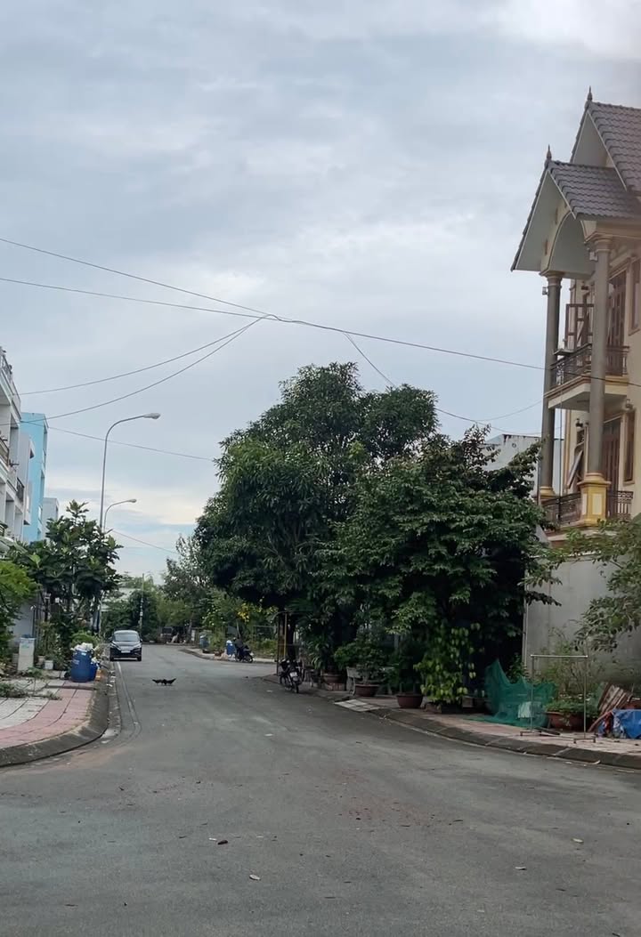 Căn hộ dịch vụ mặt tiền đường Số Thủ Đức 263m² giá 18.5 tỷ - Đầu tư sinh lời 90 triệu/tháng!