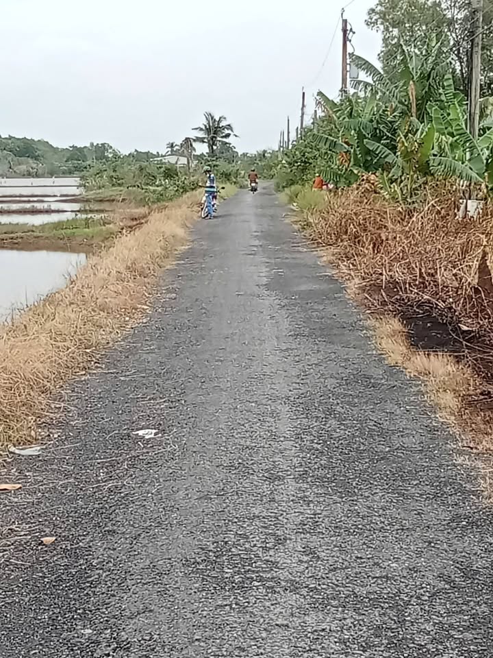 Đất nền ấp Phước Đông, Trảng Bàng, Tây Ninh 2288m² giá 35 tỷ - Cơ hội đầu tư hấp dẫn!