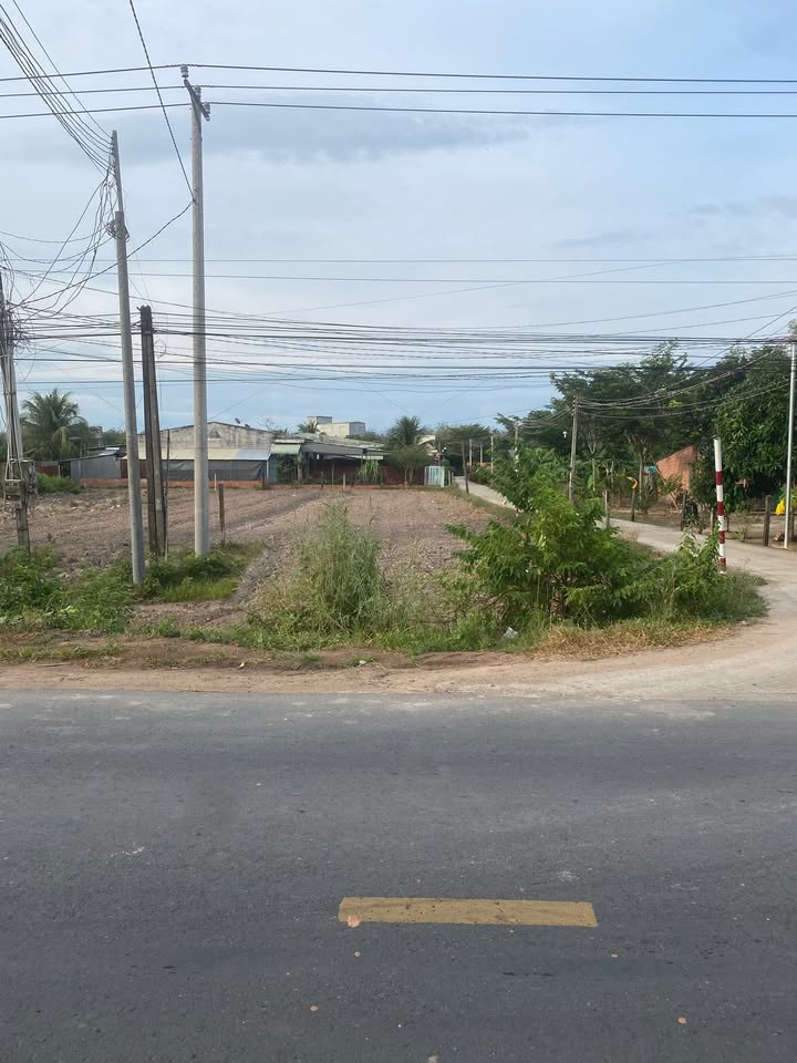 Đất nền 450m² đường ĐT 783, xã Thạnh Bắc, Tân Biên, Tây Ninh - Giá chỉ 650 triệu!