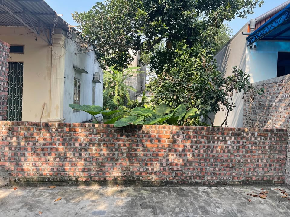 Đất nền Lương Châu, Tiên Dược, Sóc Sơn 119,4m² giá chỉ 2x triệu - Cơ hội vàng cho nhà đầu tư!