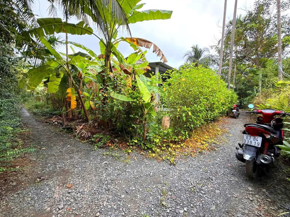 Nhà vườn 1131m² xã Long Hưng giá chỉ 570 triệu - Hướng Nam thoáng đãng!