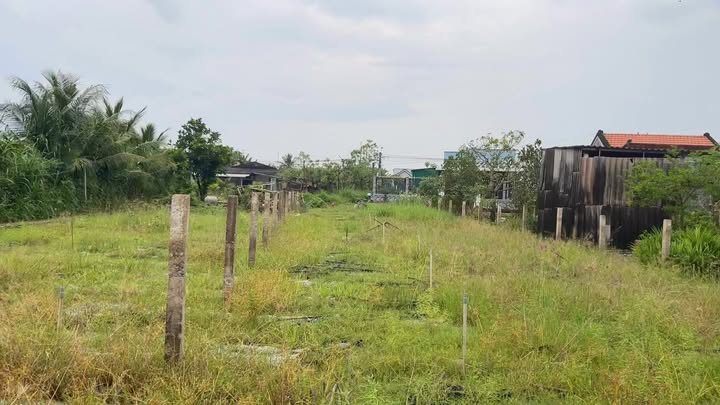 Đất thổ cư 400m² tại ấp Xóm Thủ, Bình Tân, Gò Công Tây - Chỉ 1.7 tỷ, thương lượng!