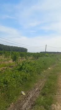 Đất nền 1.000m² tại Dương Minh Châu chỉ 450 triệu - Cơ hội đầu tư tuyệt vời!