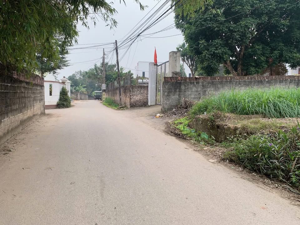 Đất nền Hướng Đạo Tam Dương 101m² giá 1.7 tỷ - Đầu tư tiềm năng sinh lời!