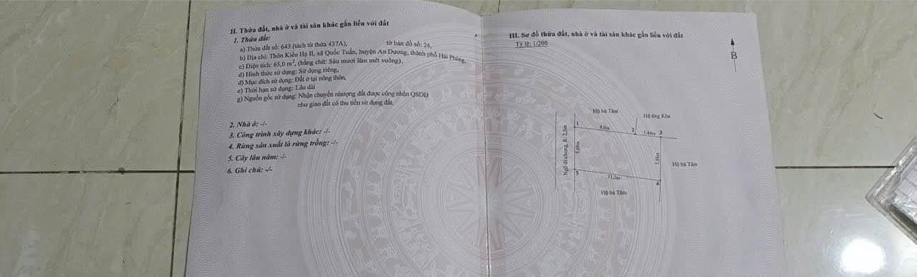 Đất nền Kiều Hạ 2 Hải Phòng 65m² giá chỉ 600 triệu - Cơ hội đầu tư không thể bỏ lỡ!