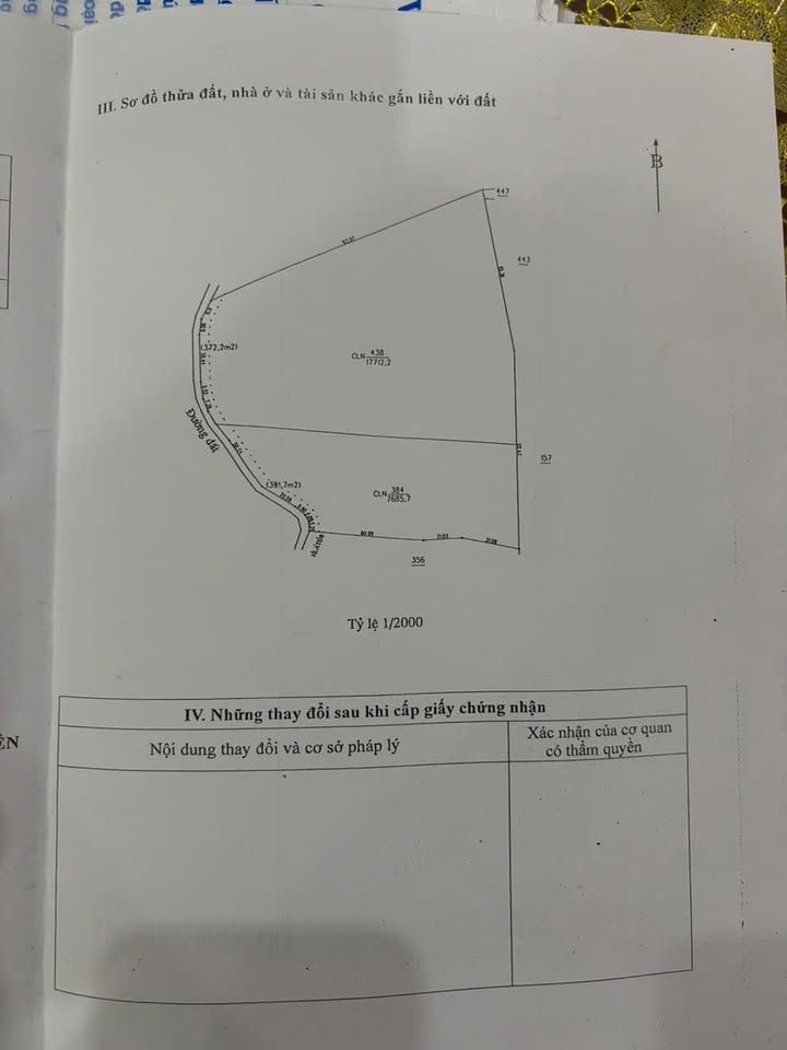 Farm Tân Định Bắc Tân Uyên 50.000m² giá 40 tỷ - Đầu tư sinh lời cao!