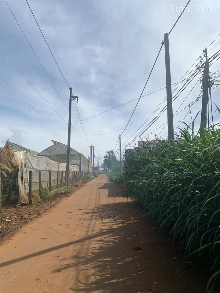 Đất nền Đạ Ròn 6000m² giá 5.5 tỷ - Pháp lý sạch, hạ tầng tốt!