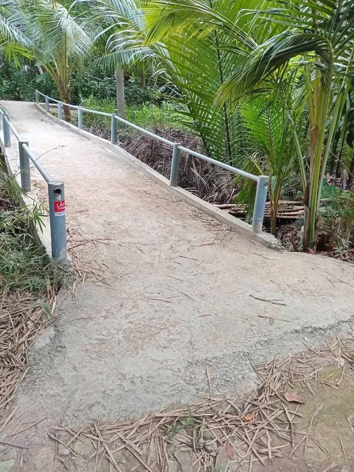 Đất nền Nhơn Bình Trà Ôn 53667m² giá 150 triệu - Cơ hội đầu tư tuyệt vời!